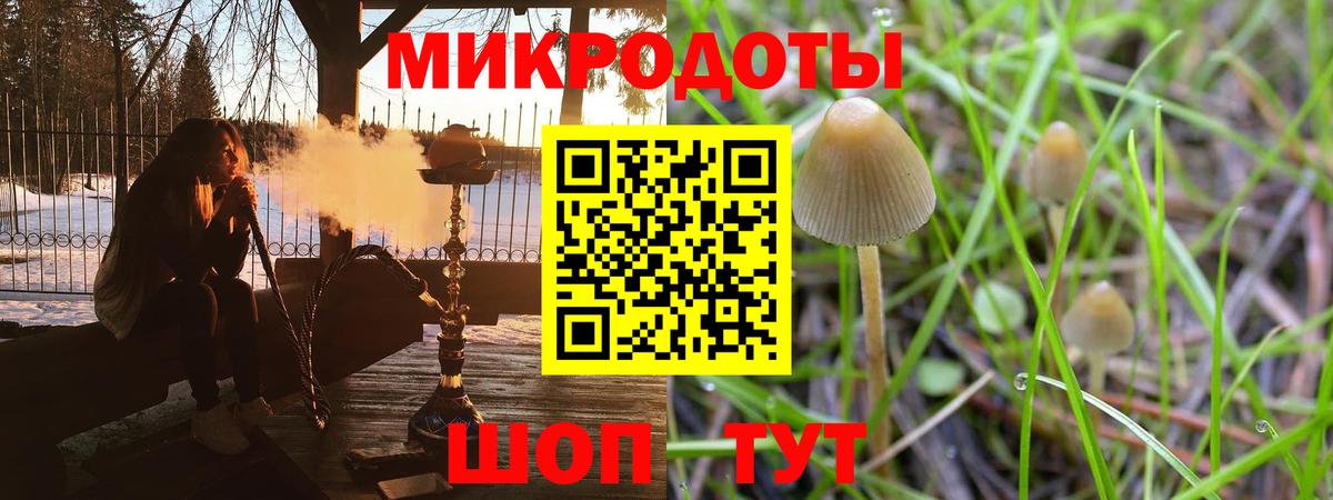 Псилоцибиновые грибы Psilocybine cubensis  закладки  Славгород  Вход с VPN  Псилоцибиновые грибы Psilocybine cubensis 