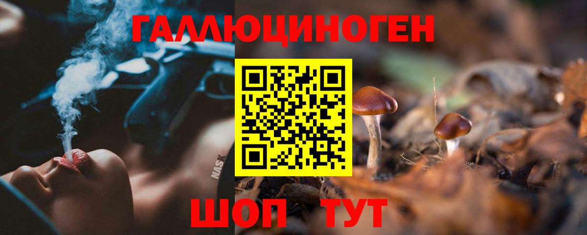 Псилоцибиновые грибы мицелий Славгород